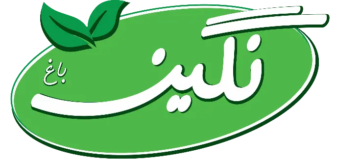 نگین